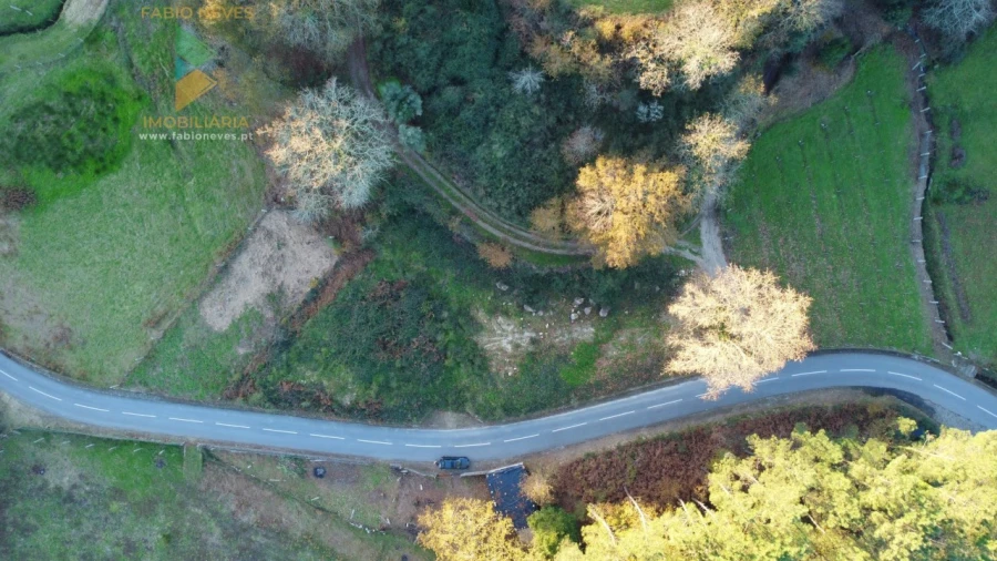 Terreno para Venda em Prozelo Foto 14