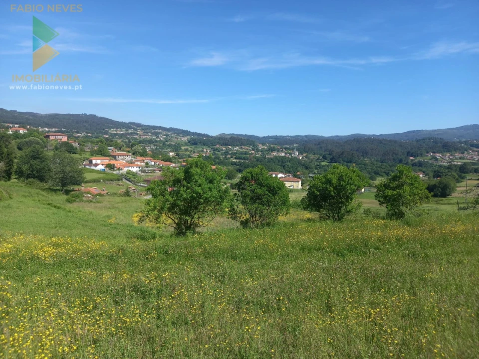 Terreno para Venda em Mozelos Foto 4