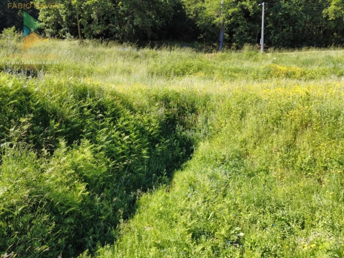 Terreno para Venda em Mozelos Foto 5