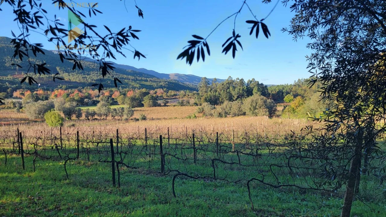 Moradia T4 para Venda em São Pedro de Arcos Foto 19
