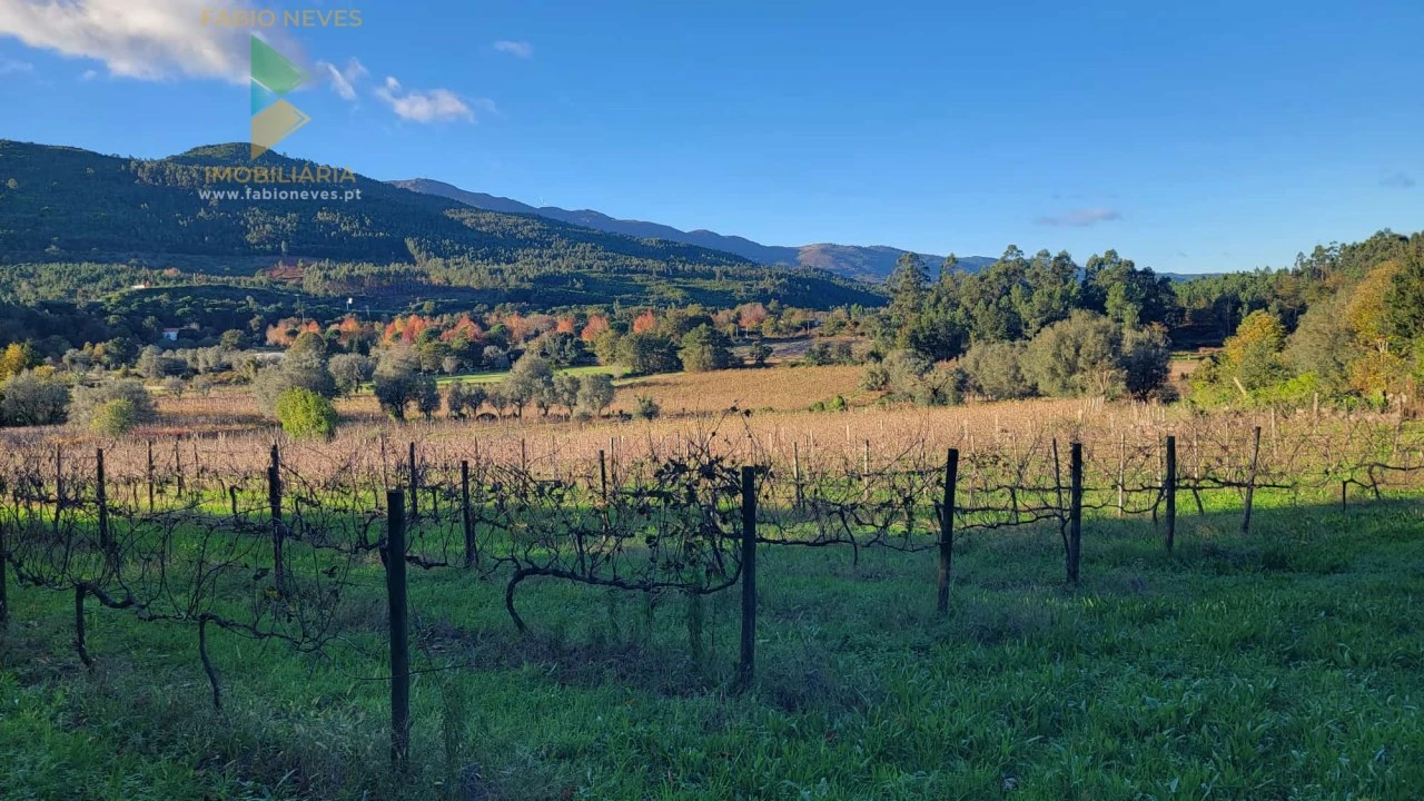 Moradia T4 para Venda em São Pedro de Arcos Foto 20