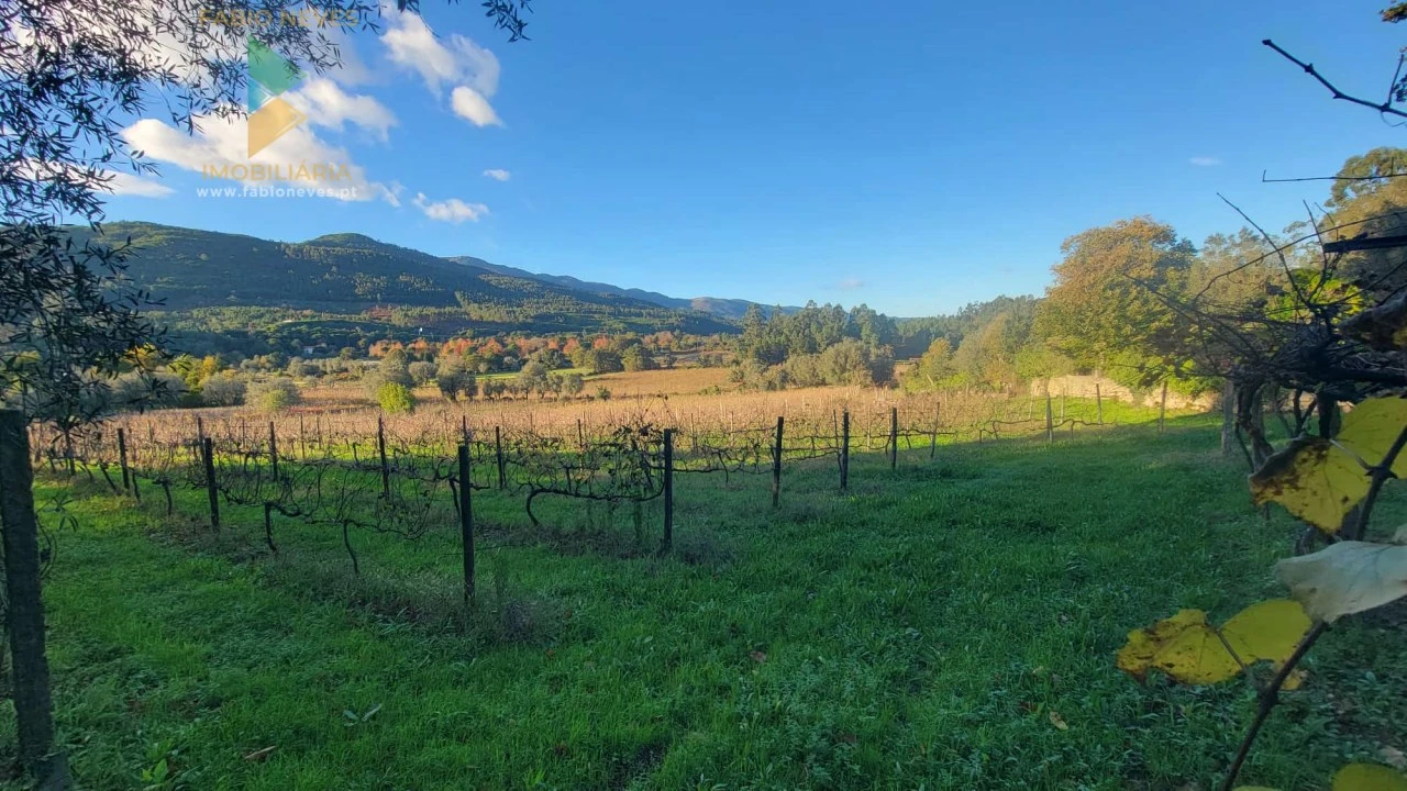 Moradia T4 para Venda em São Pedro de Arcos Foto 21