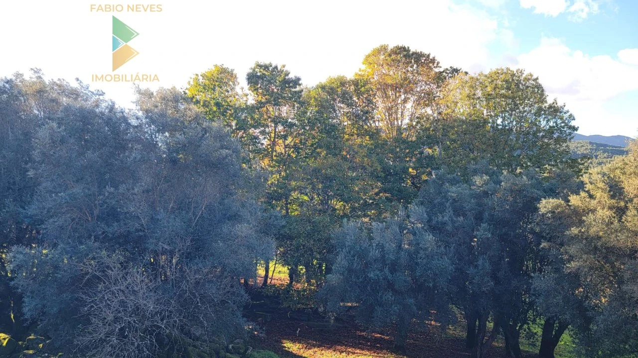 Moradia T4 para Venda em São Pedro de Arcos Foto 25