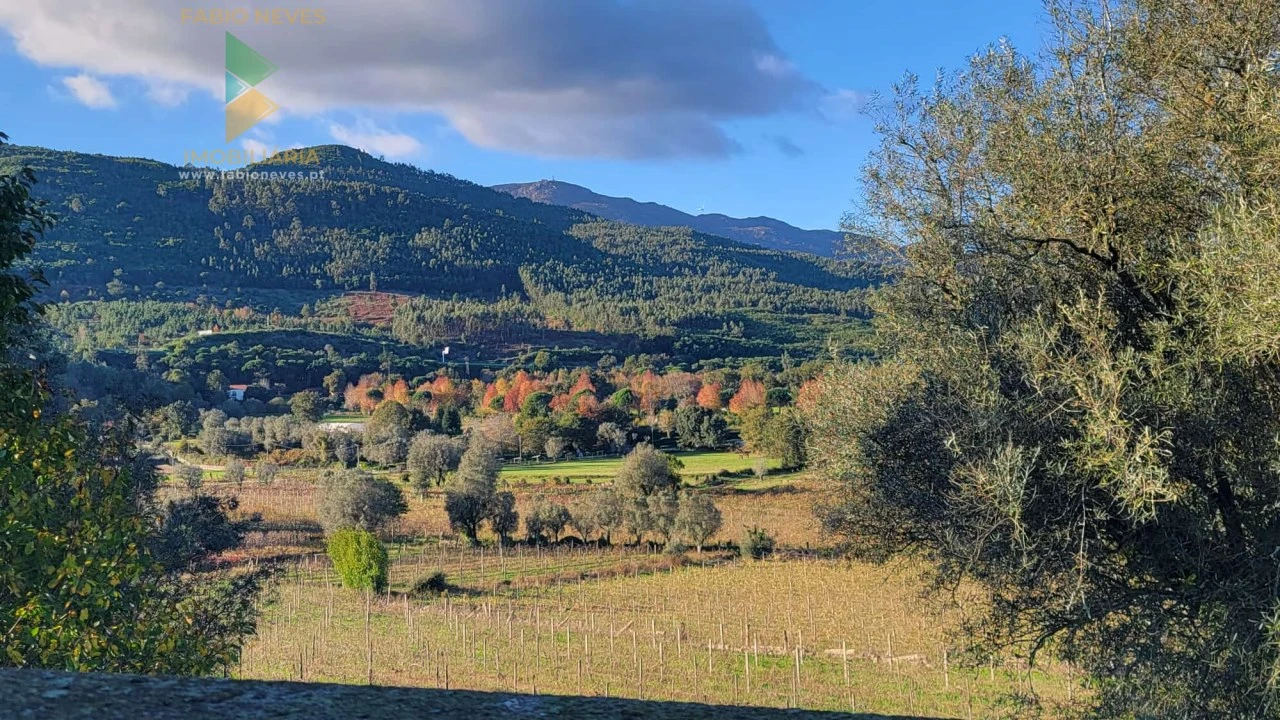 Moradia T4 para Venda em São Pedro de Arcos Foto 5
