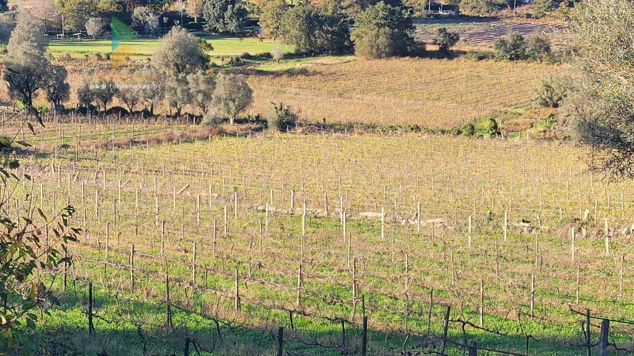 Moradia T4 para Venda em São Pedro de Arcos Foto 26