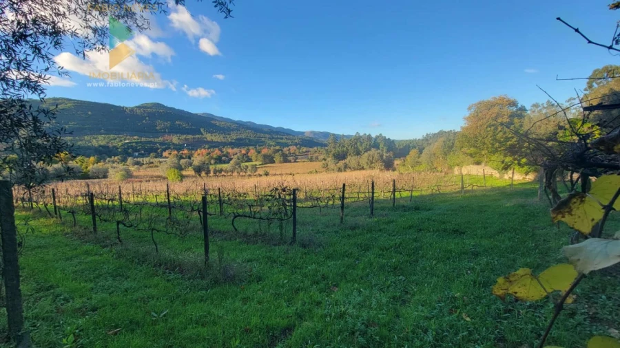 Moradia T4 para Venda em São Pedro de Arcos Foto 21