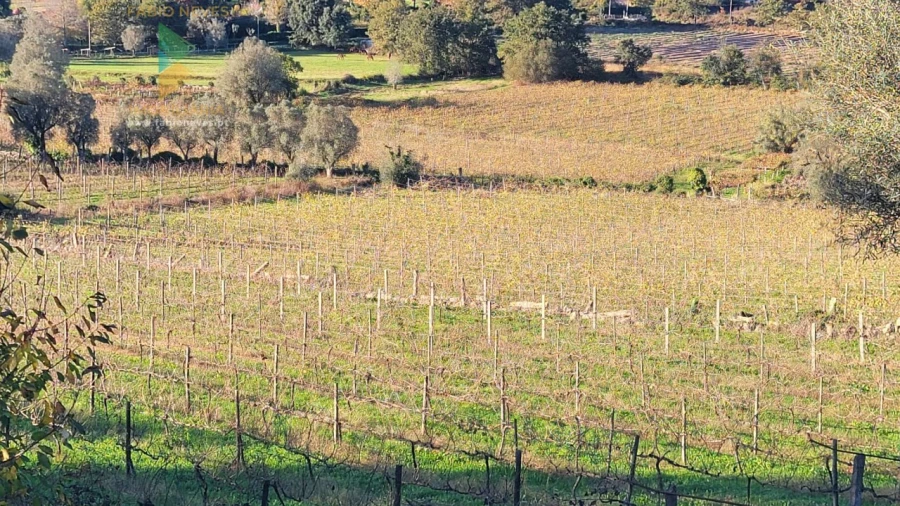 Moradia T4 para Venda em São Pedro de Arcos Foto 26