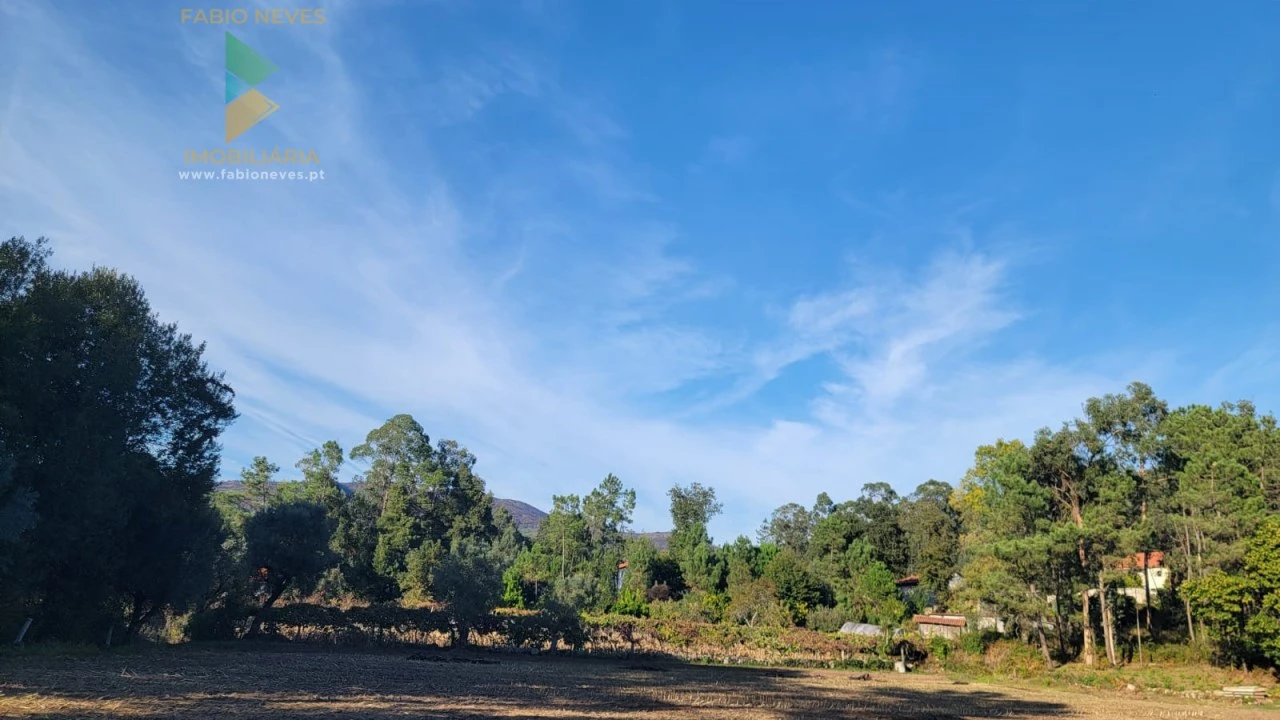 Terreno para Venda em Navió e Vitorino dos Piães Foto 6