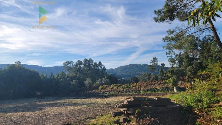 Terreno para Venda em Navió e Vitorino dos Piães Foto 8