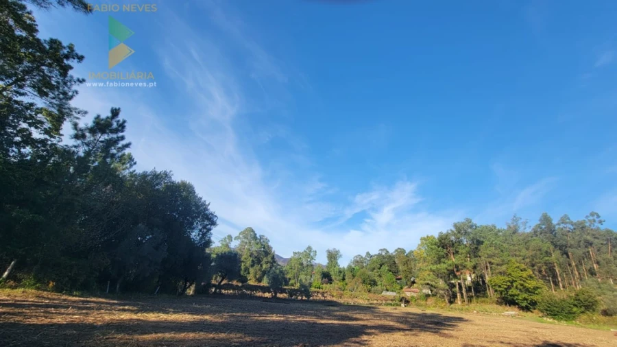 Terreno para Venda em Navió e Vitorino dos Piães Foto 9