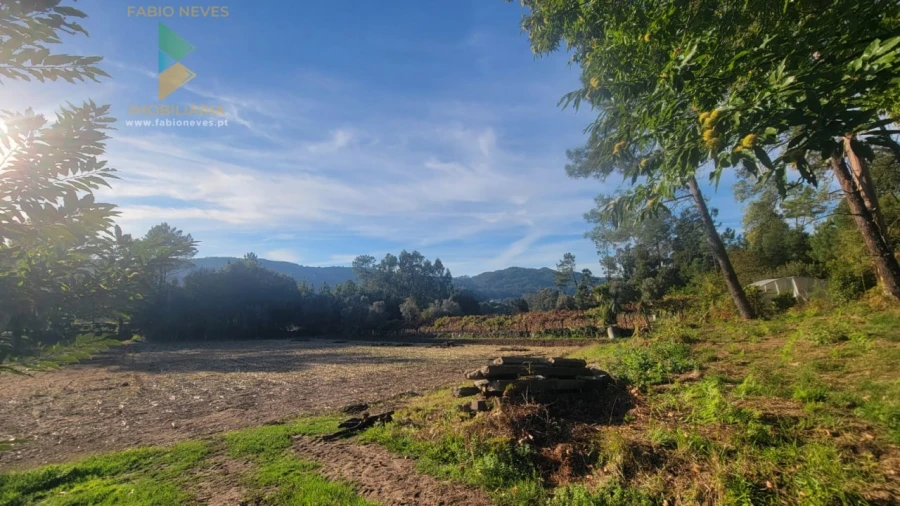 Terreno para Venda em Navió e Vitorino dos Piães Foto 11