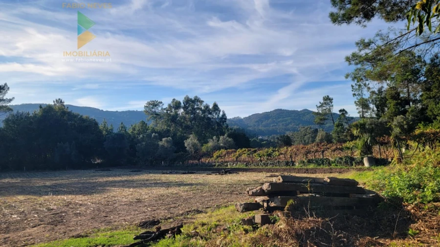 Terreno para Venda em Navió e Vitorino dos Piães Foto 13
