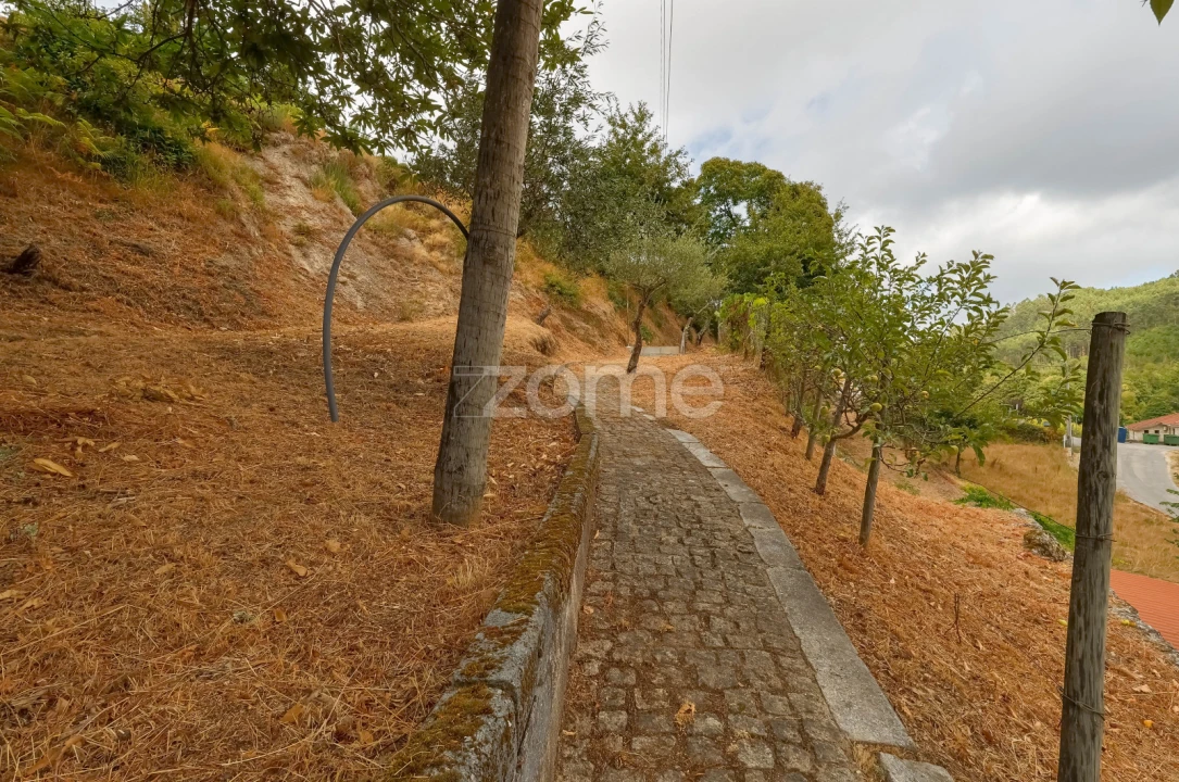 Moradia T3 para Venda em Alvite e Passos Foto 4