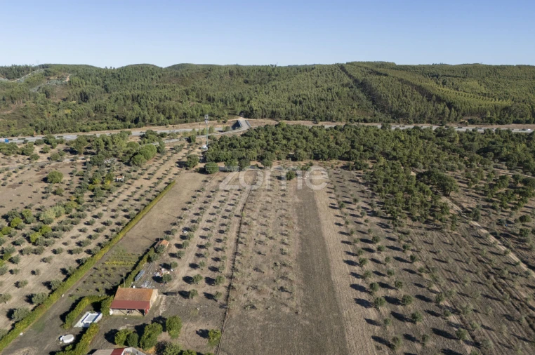 Terreno para Venda em Montalvo Foto 12