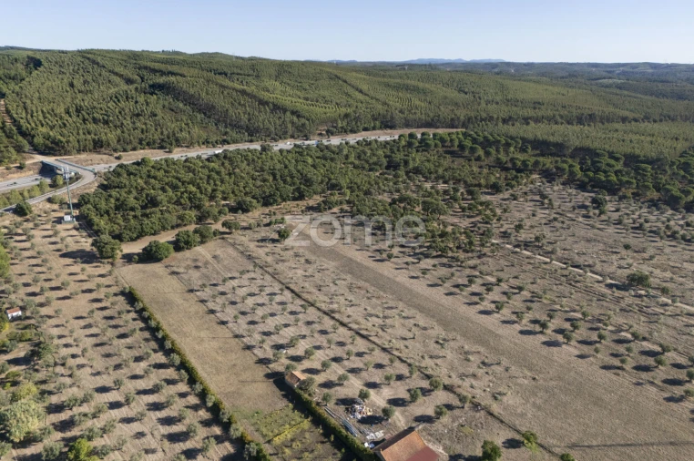Terreno para Venda em Montalvo Foto 10