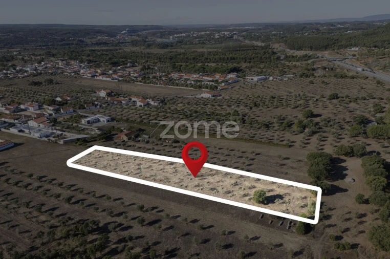 Terreno para Venda em Montalvo Foto 15