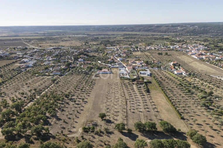 Terreno para Venda em Montalvo Foto 6