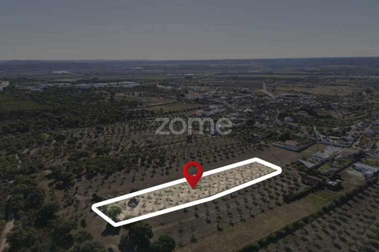 Terreno para Venda em Montalvo Foto 13