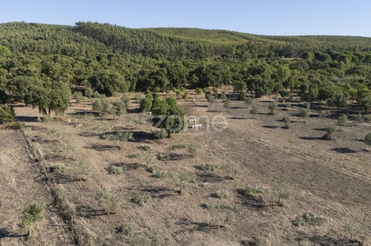 Terreno para Venda em Montalvo Foto 4
