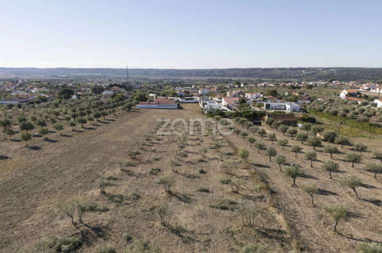 Terreno para Venda em Montalvo Foto 2