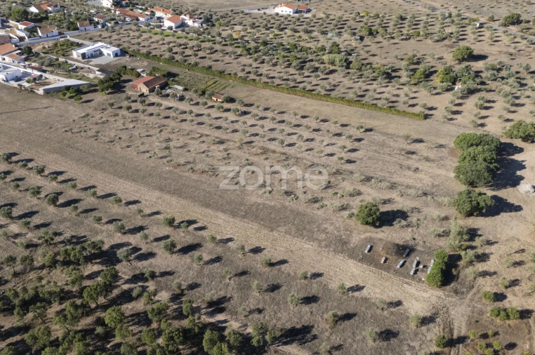Terreno para Venda em Montalvo Foto 7
