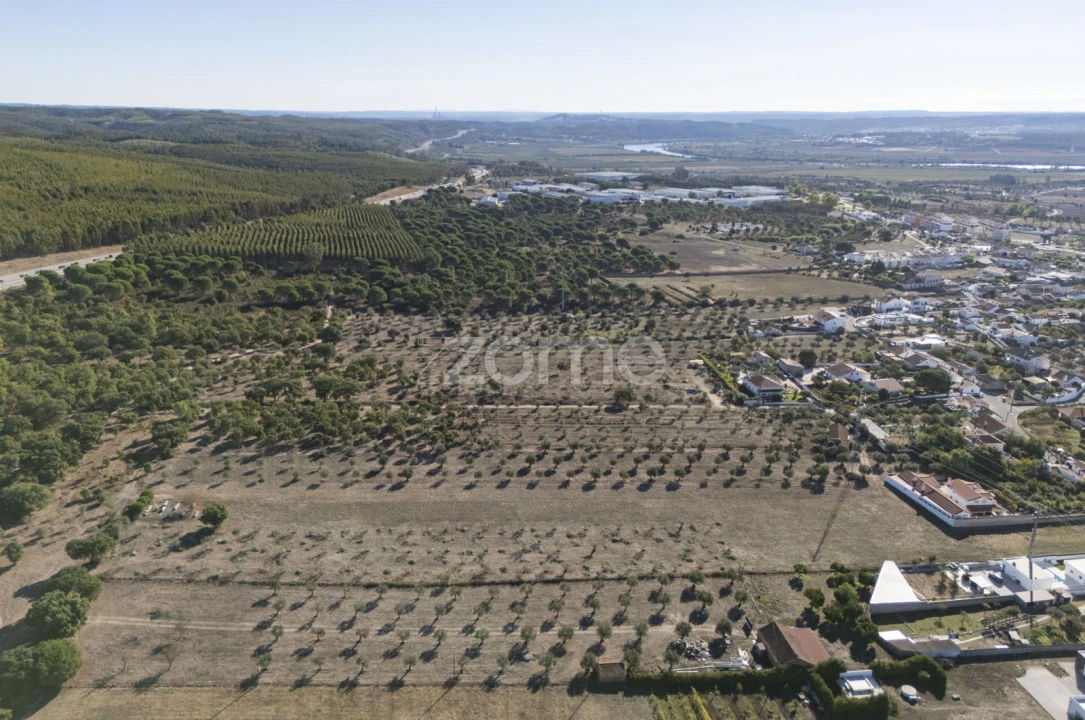 Terreno para Venda em Montalvo Foto 9