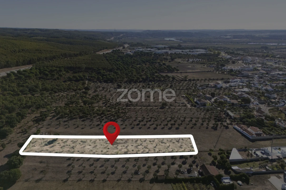 Terreno para Venda em Montalvo Foto 16