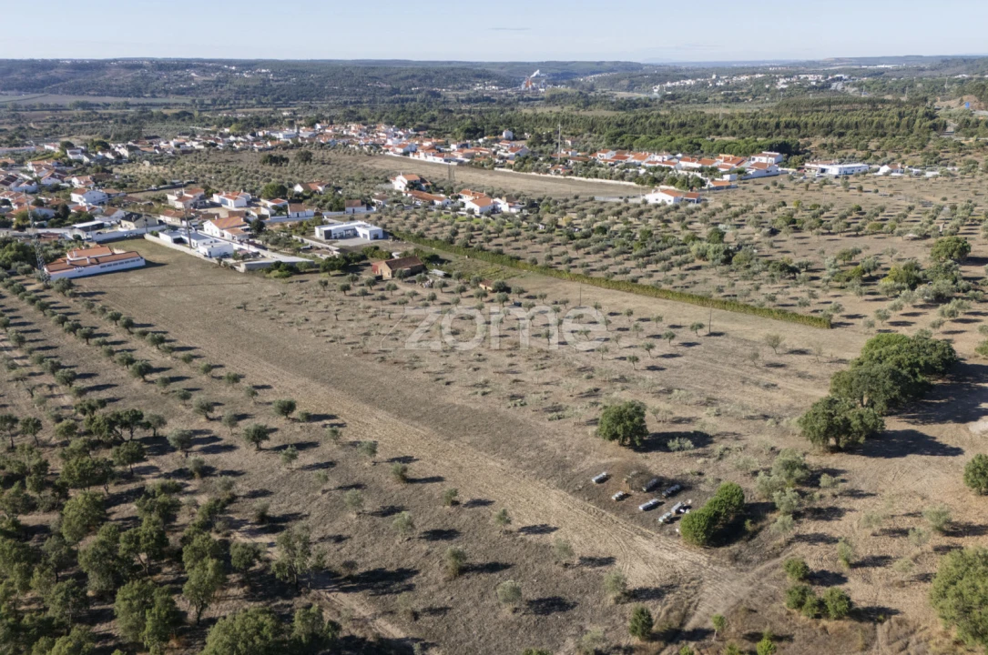 Terreno para Venda em Montalvo Foto 8
