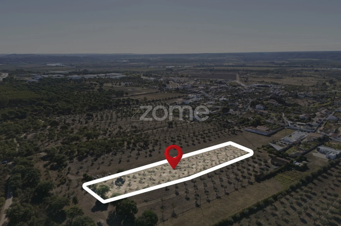 Terreno para Venda em Montalvo Foto 13