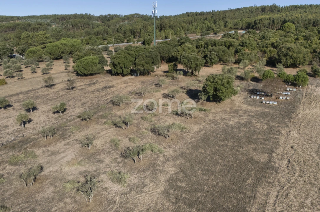 Terreno para Venda em Montalvo Foto 3