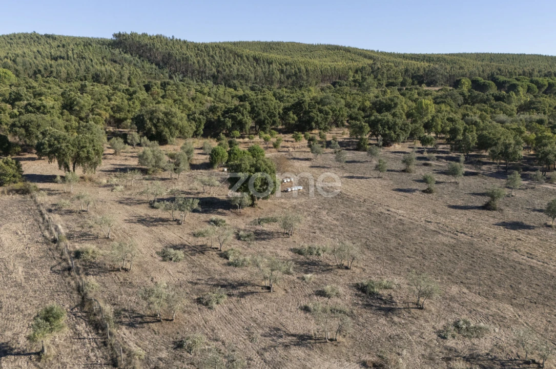 Terreno para Venda em Montalvo Foto 4