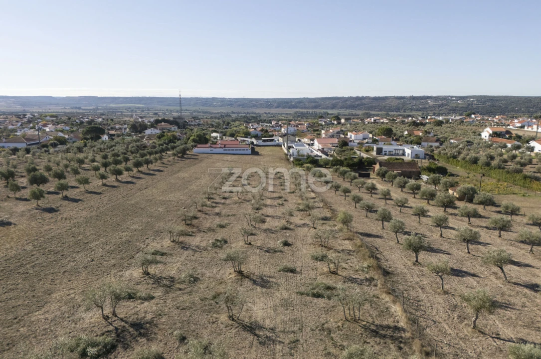 Terreno para Venda em Montalvo Foto 2
