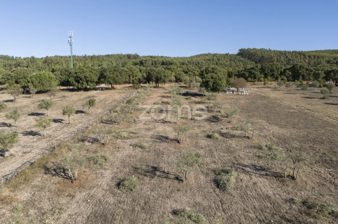 Terreno para Venda em Montalvo Foto 5