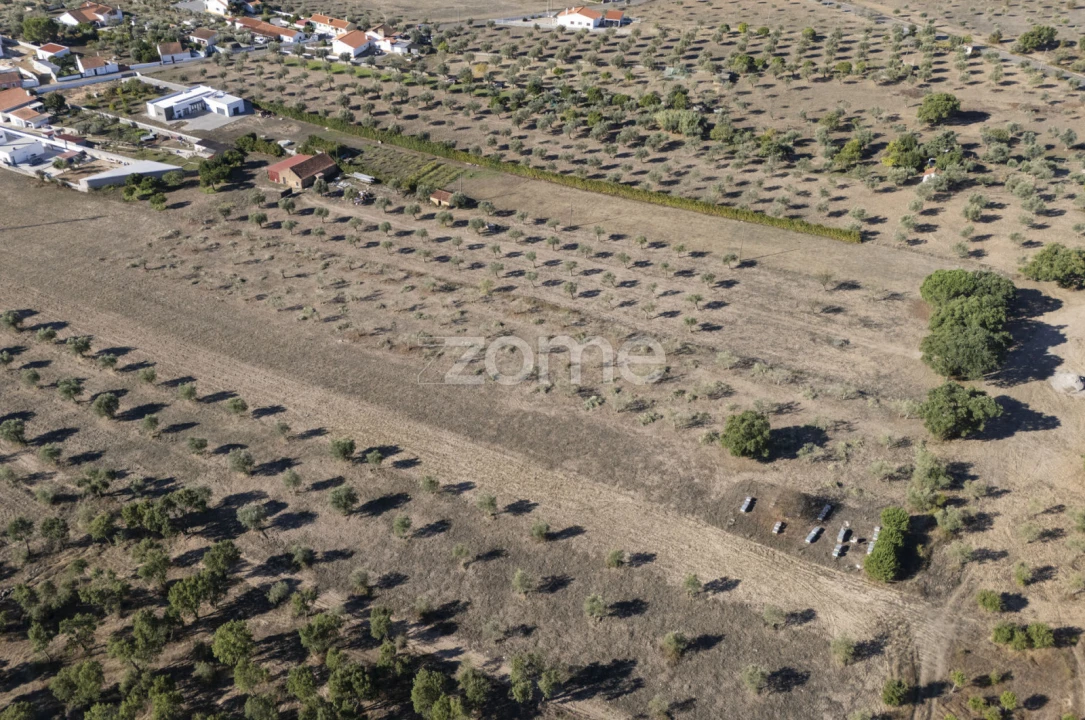 Terreno para Venda em Montalvo Foto 7