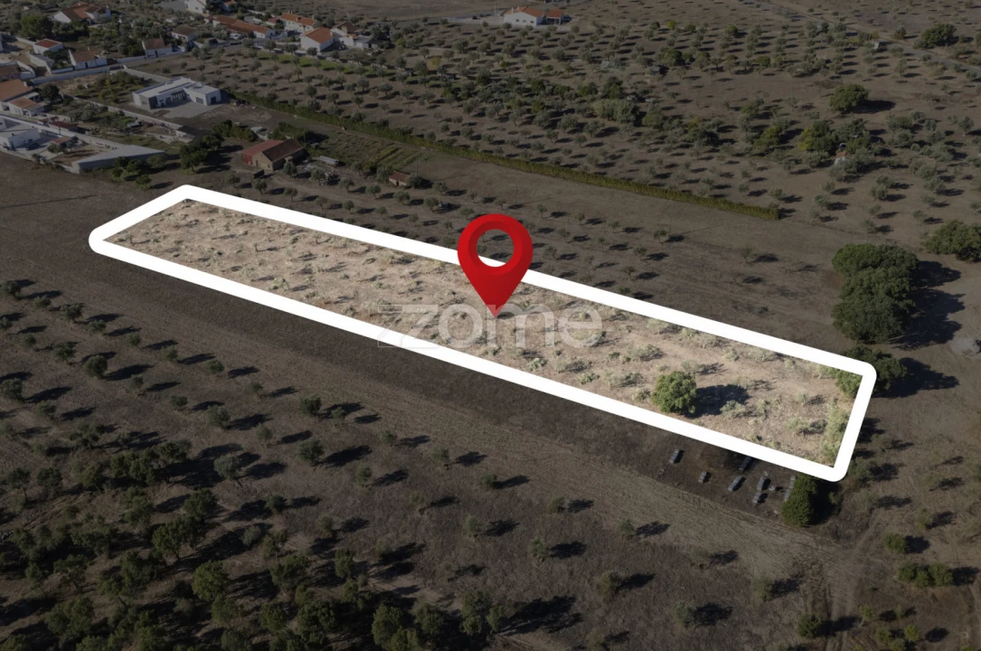 Terreno para Venda em Montalvo Foto 19