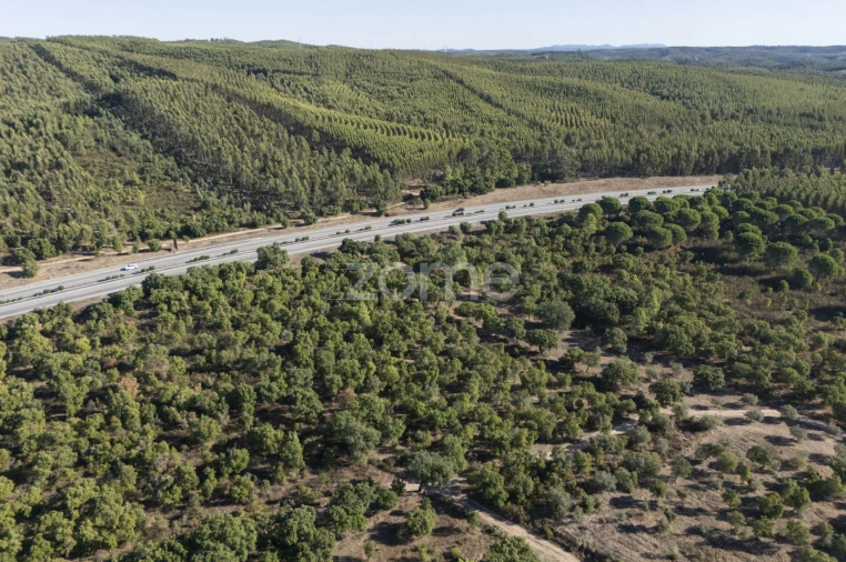 Terreno para Venda em Montalvo Foto 10