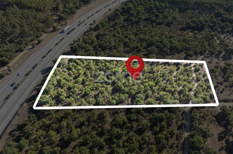 Terreno para Venda em Montalvo Foto 13