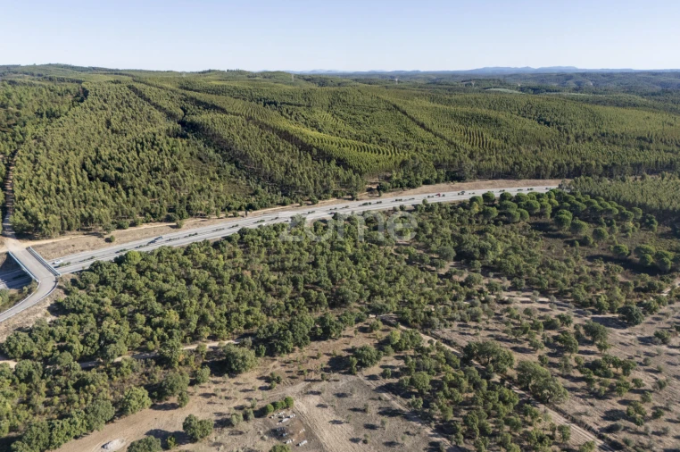 Terreno para Venda em Montalvo Foto 8