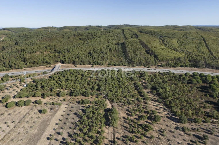 Terreno para Venda em Montalvo Foto 2