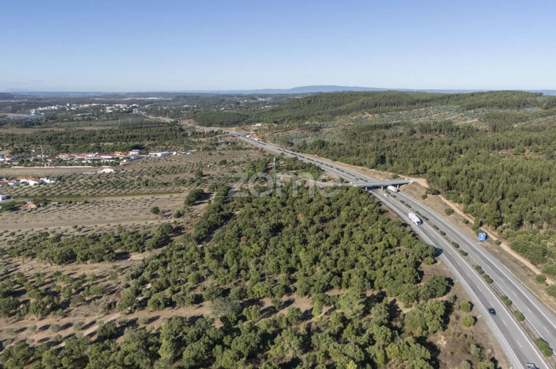 Terreno para Venda em Montalvo Foto 4