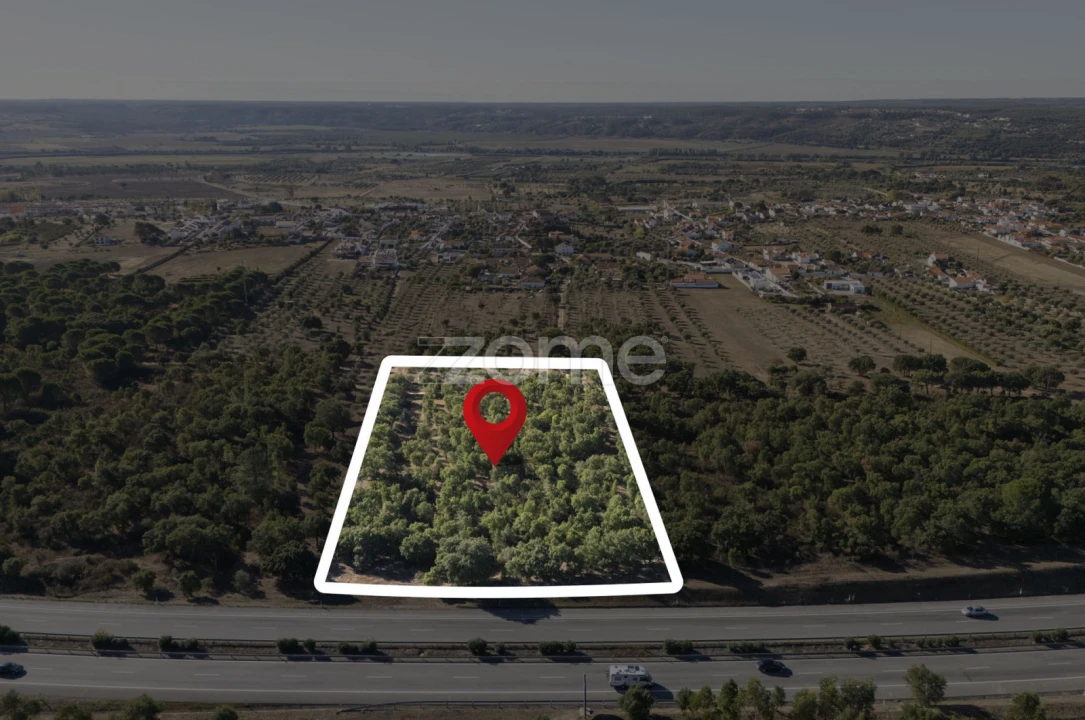 Terreno para Venda em Montalvo Foto 15