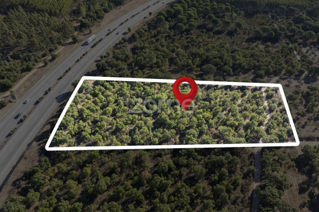 Terreno para Venda em Montalvo Foto 13