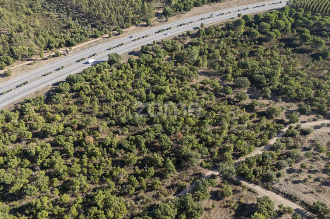 Terreno para Venda em Montalvo Foto 1