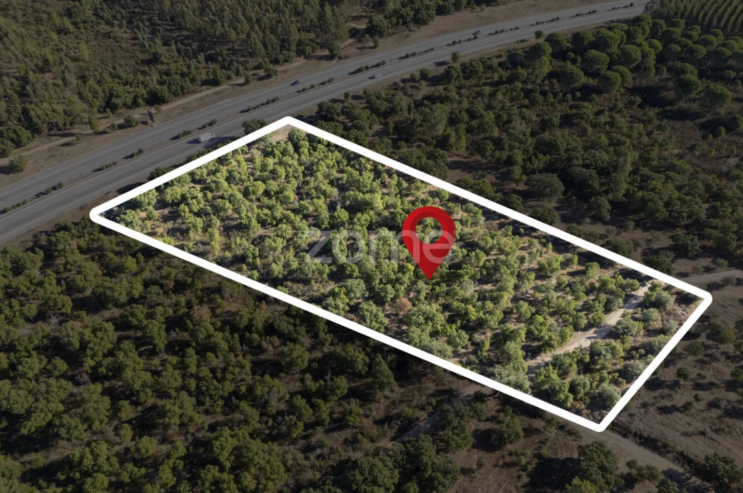 Terreno para Venda em Montalvo Foto 12