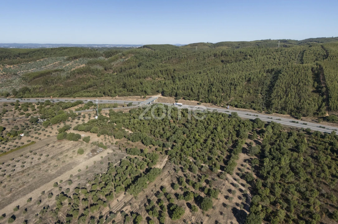 Terreno para Venda em Montalvo Foto 3