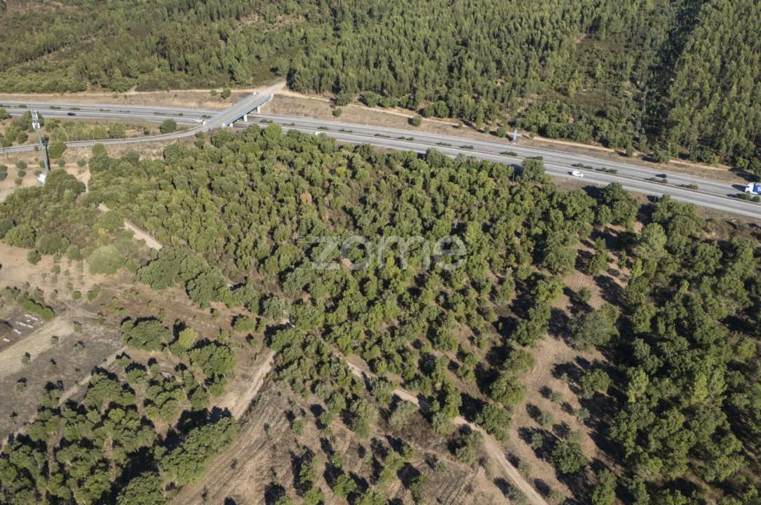 Terreno para Venda em Montalvo Foto 7