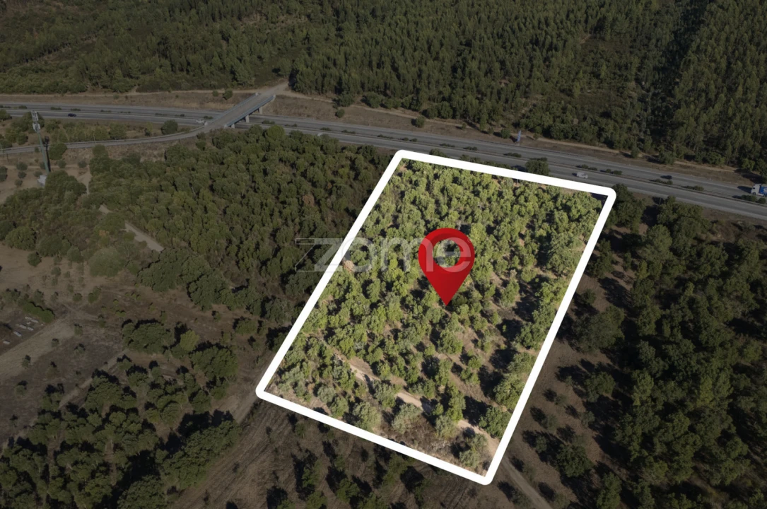 Terreno para Venda em Montalvo Foto 11