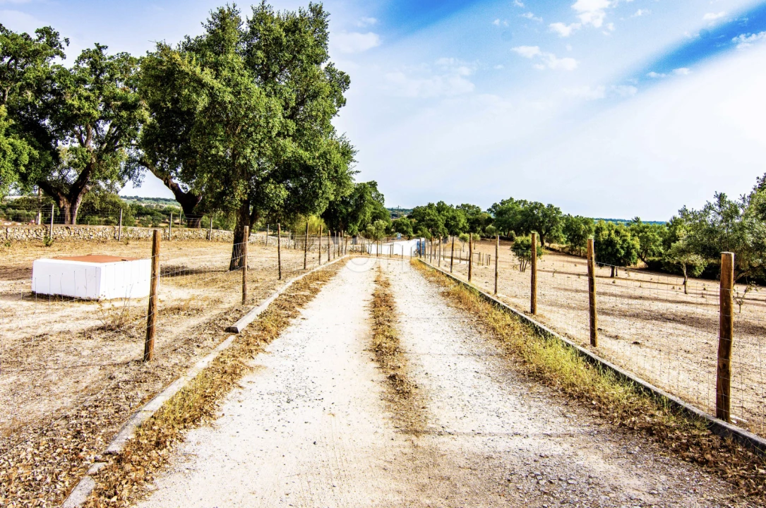 Quinta T5 para Venda em Crato e Mártires, Flor da Rosa e Vale do Peso Foto 3