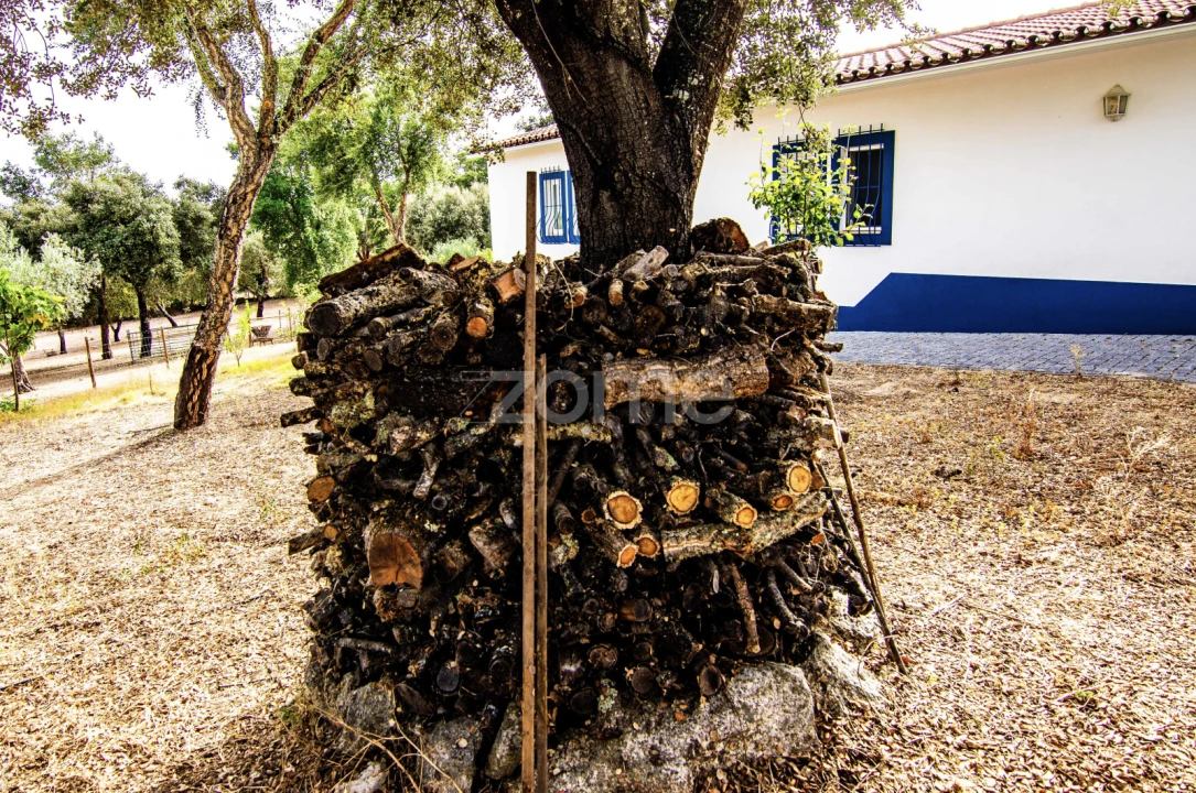 Quinta T5 para Venda em Crato e Mártires, Flor da Rosa e Vale do Peso Foto 9