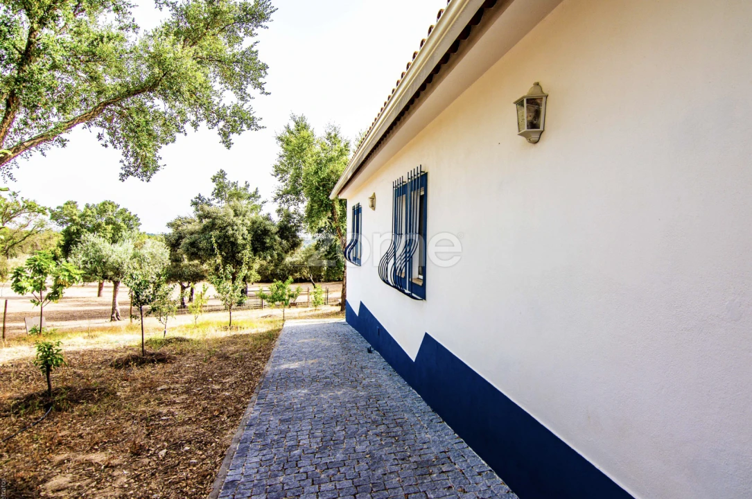 Quinta T5 para Venda em Crato e Mártires, Flor da Rosa e Vale do Peso Foto 12